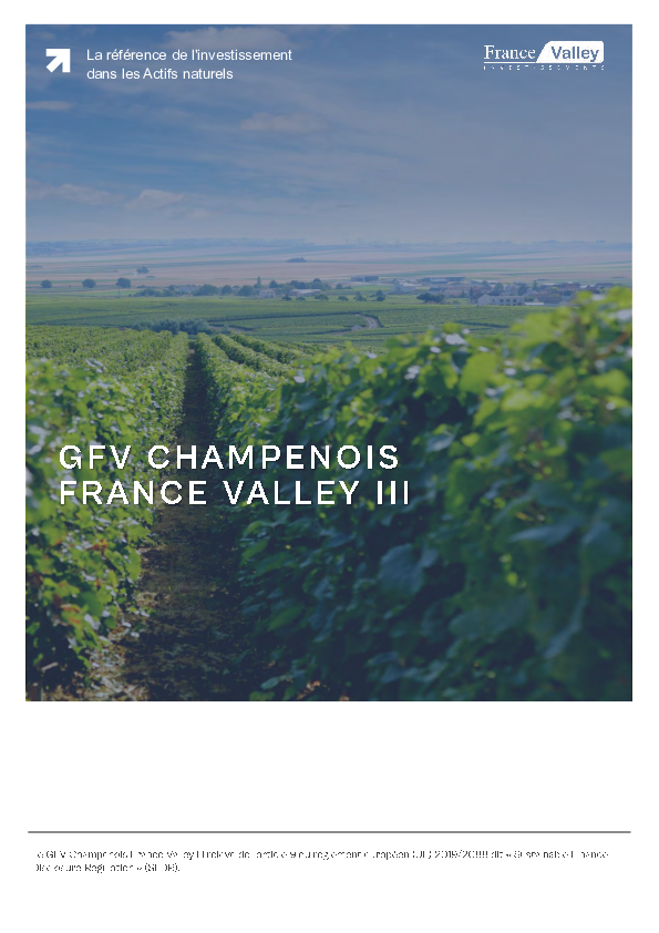 GFV Champenois France Valley III (911294726)